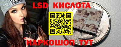 прущие грибы Партизанск