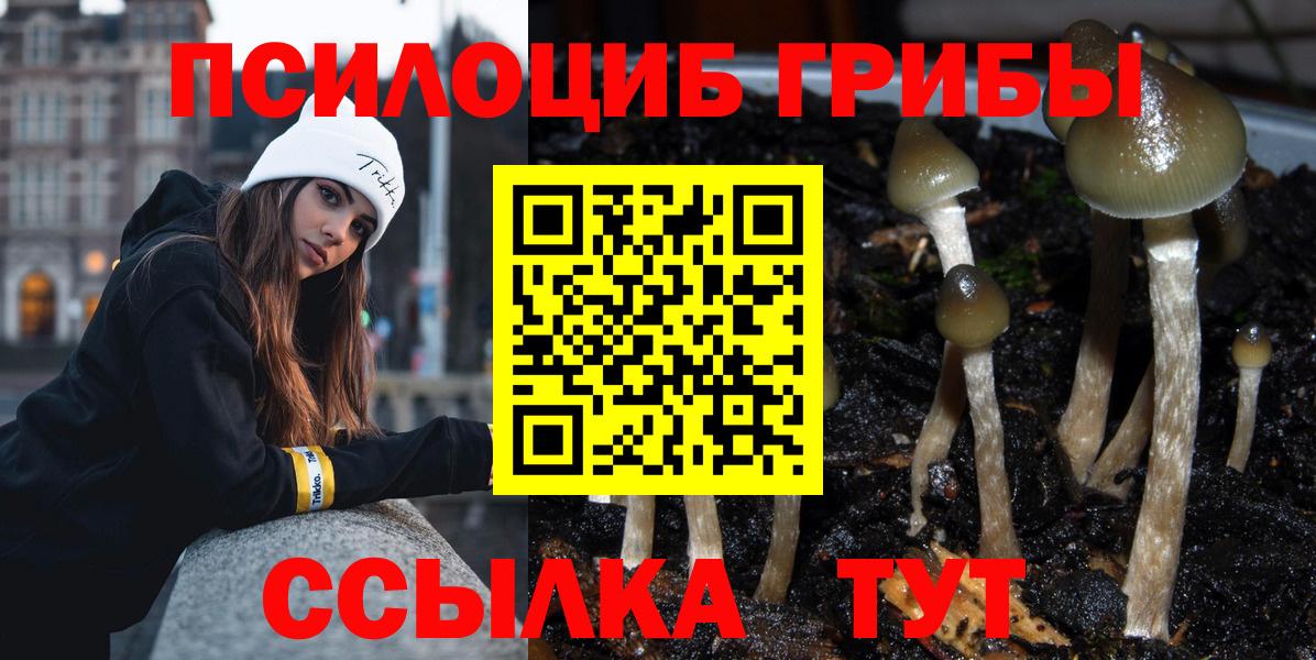 Дальнереченск  Псилоцибиновые грибы прущие грибы  Вход с VPN  Псилоцибиновые грибы Psilocybine cubensis 