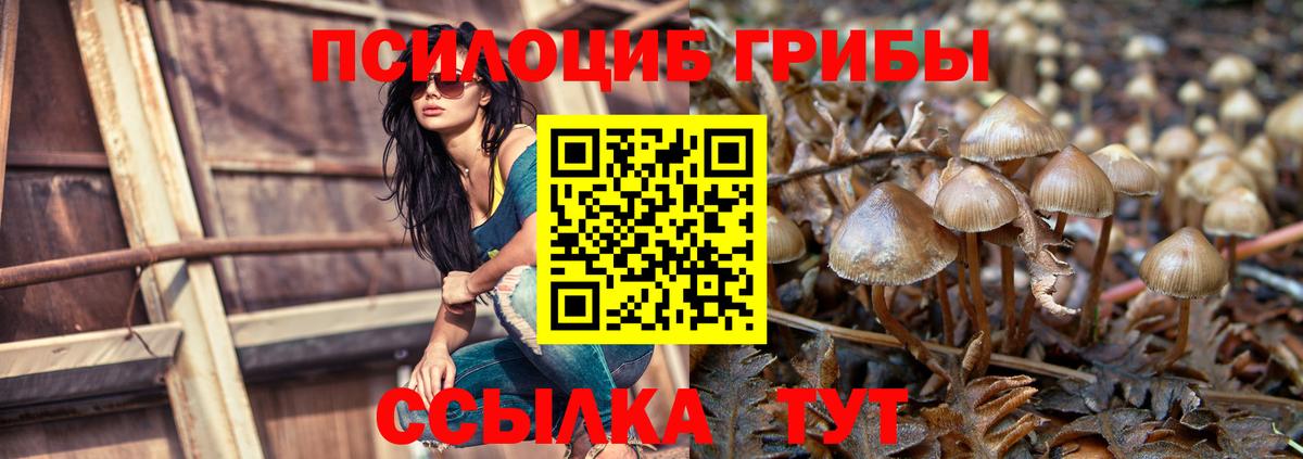 Галлюциногенные грибы Cubensis Дальнереченск